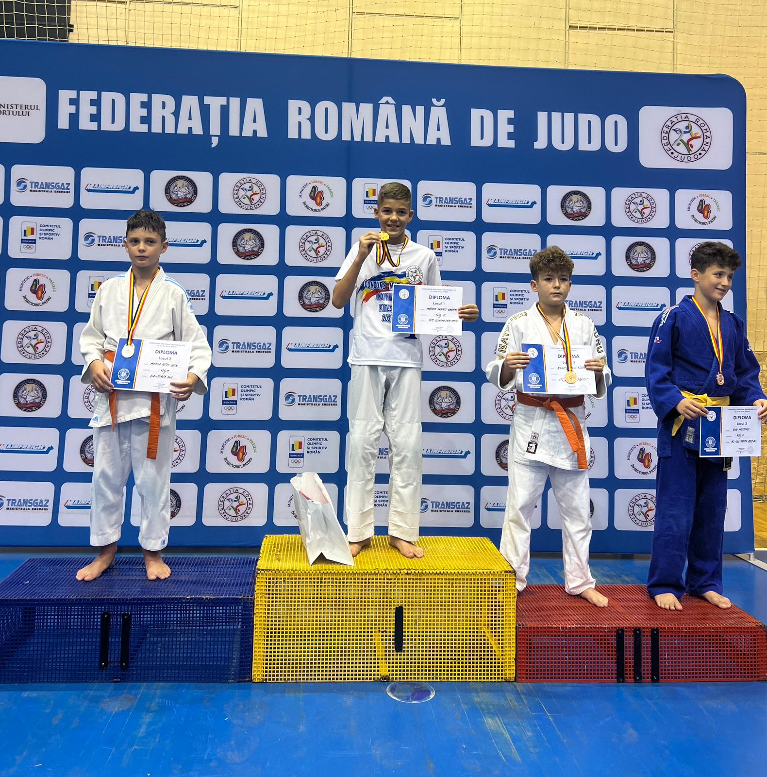 Iannis Marina, aur la Naționalele de judo